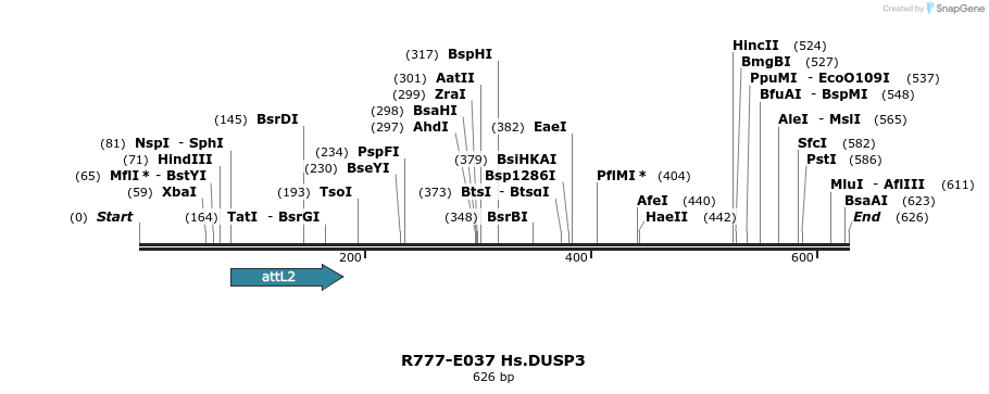 129314_map