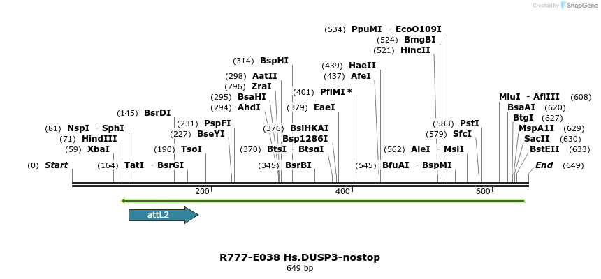 129315_map