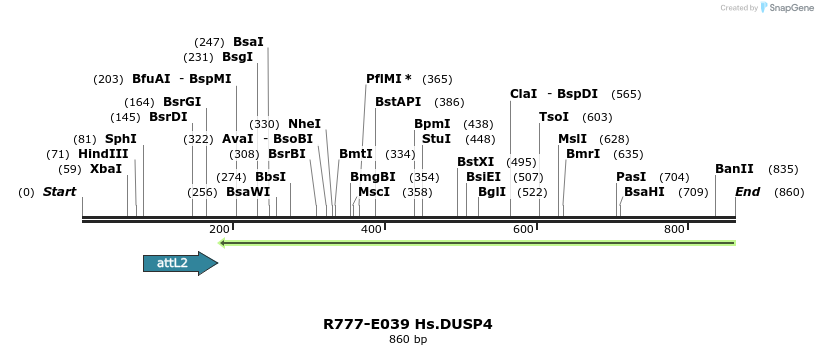 129316_map