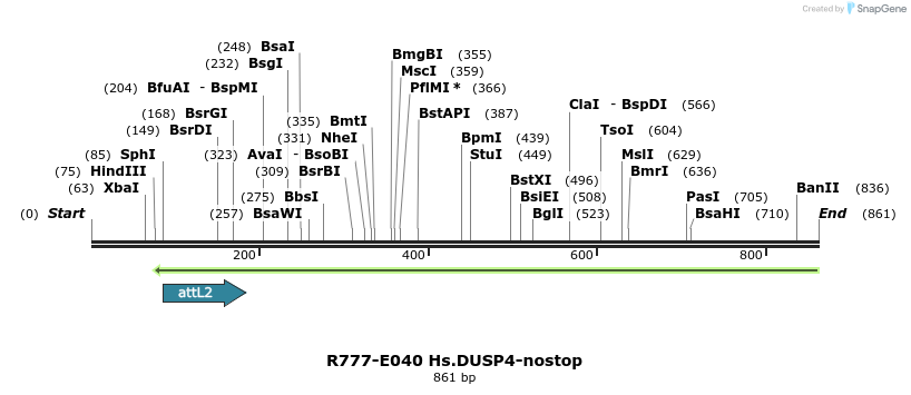 129317_map