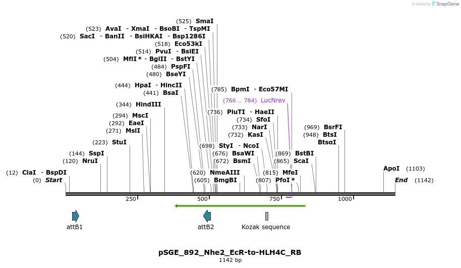 129319_map