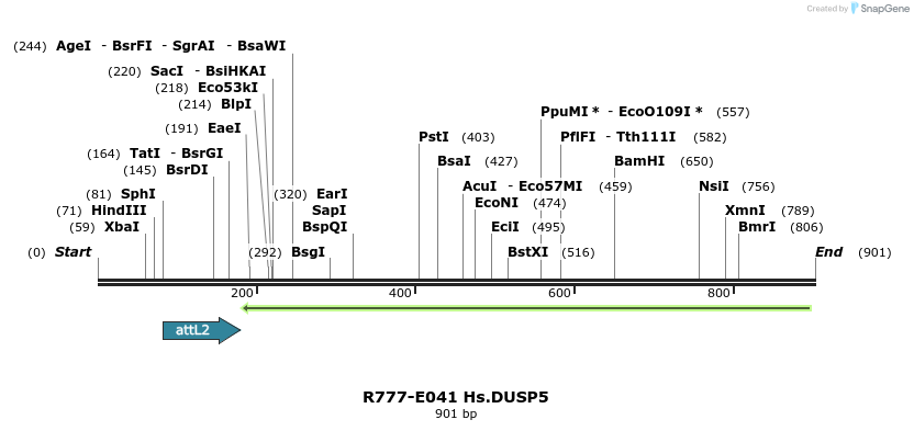 129321_map