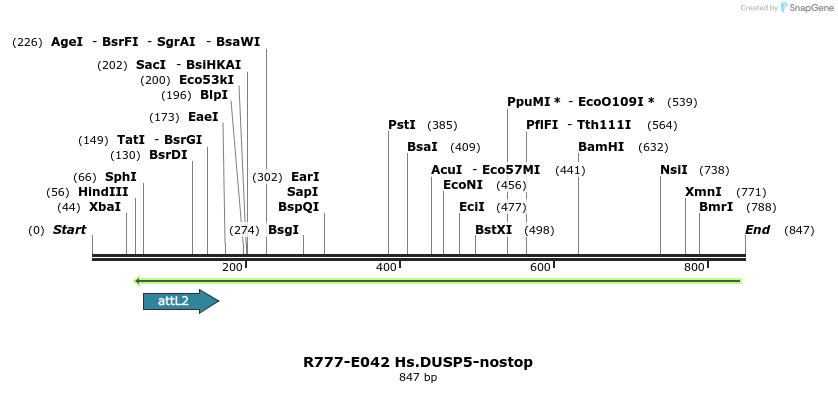 129324_map
