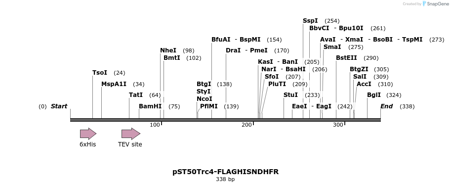 129326_map