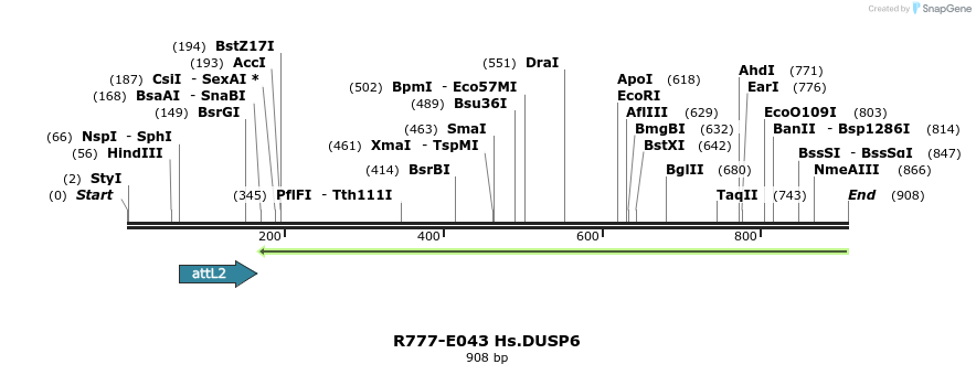 129327_map