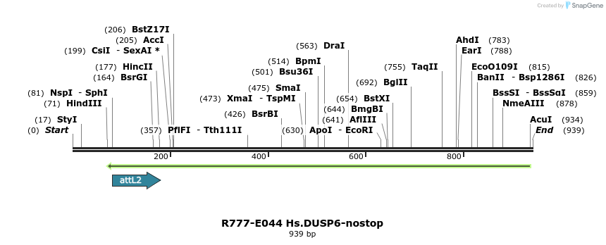 129328_map