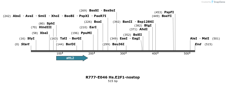 129329_map
