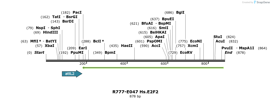 129332_map