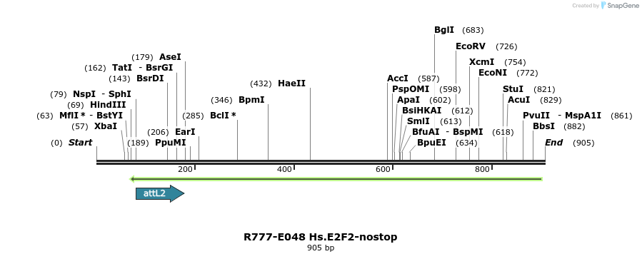 129334_map