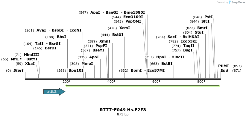 129335_map