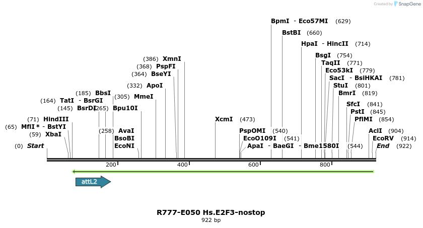 129337_map