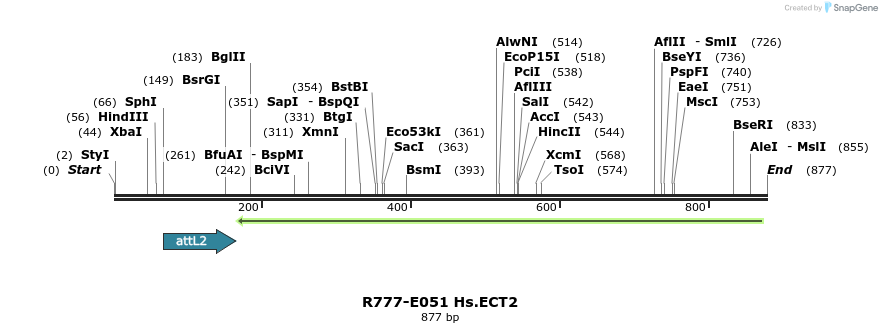 129340_map