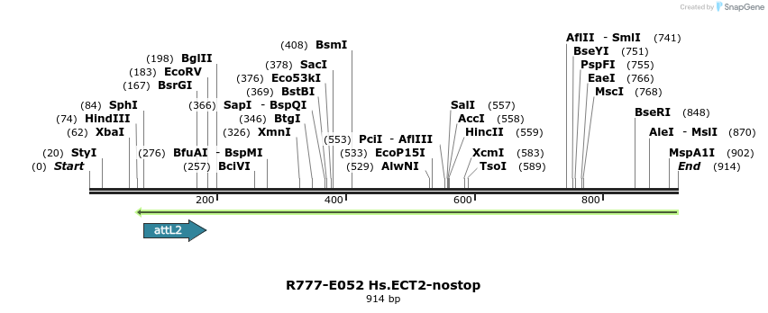 129341_map