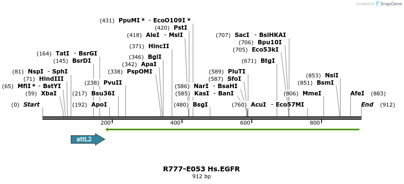 129342_map