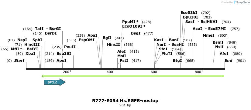 129343_map