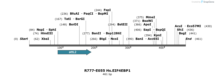 129347_map