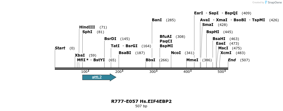 129350_map