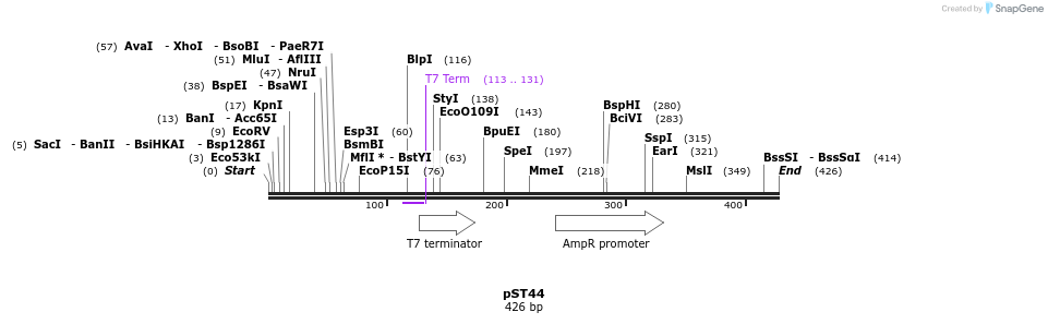 129351_map