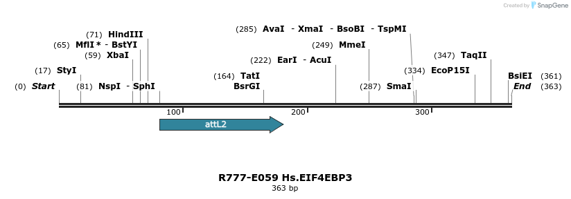 129355_map