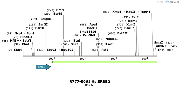 129361_map