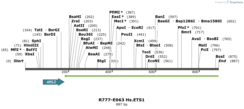 129363_map