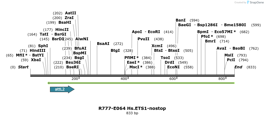 129364_map