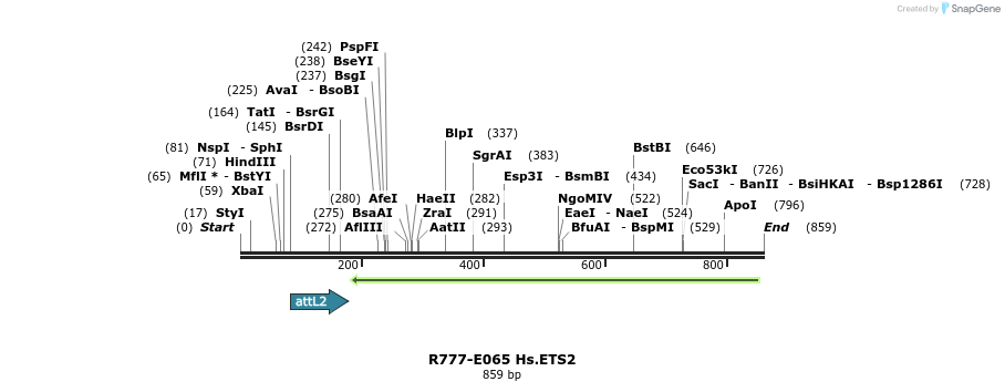 129365_map