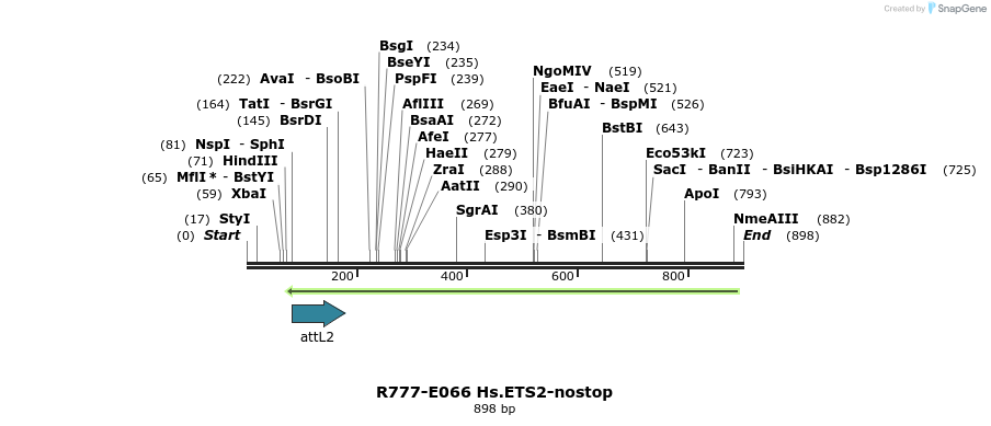 129368_map