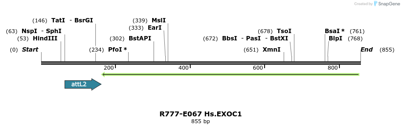 129371_map
