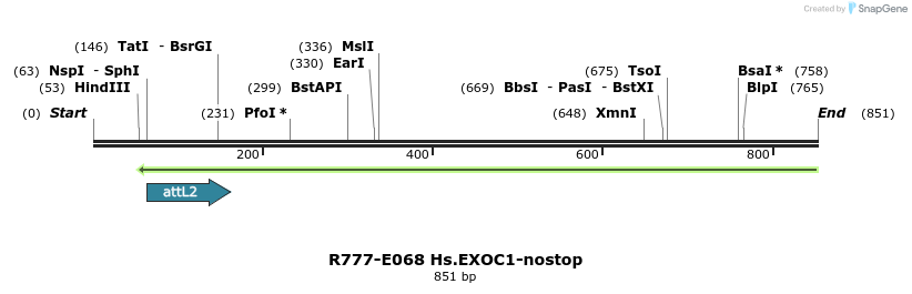 129372_map