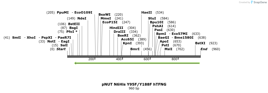 129374_map
