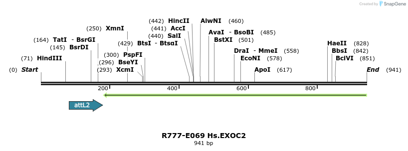 129375_map