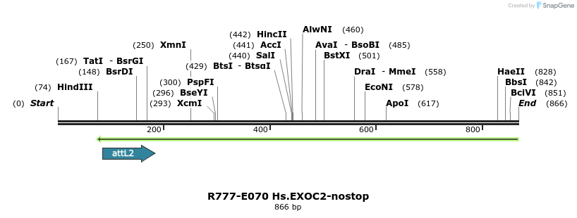 129380_map