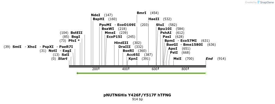 129381_map