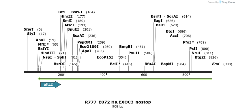 129383_map