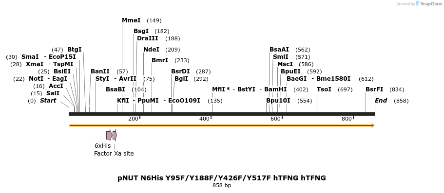 129387_map