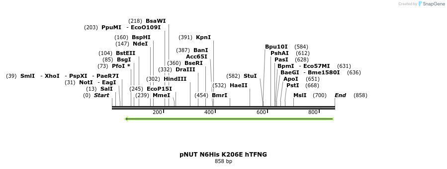 129394_map