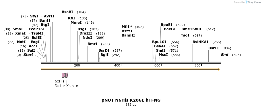 129395_map