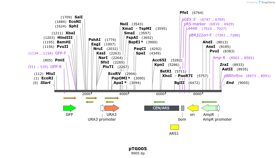 129398_map