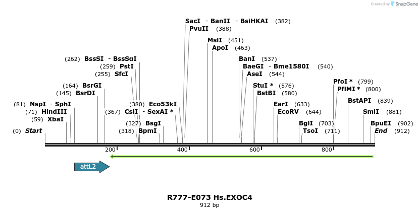 129406_map