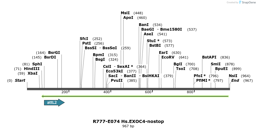 129407_map
