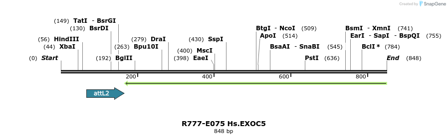 129408_map