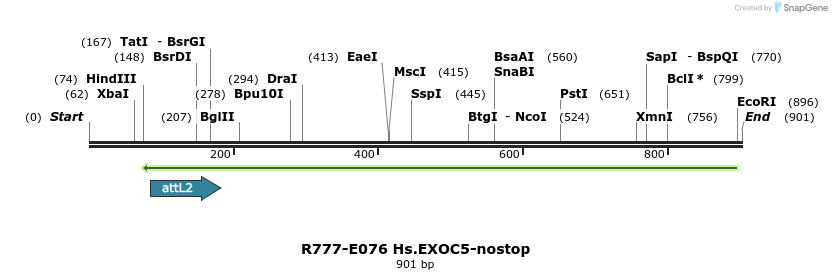 129409_map