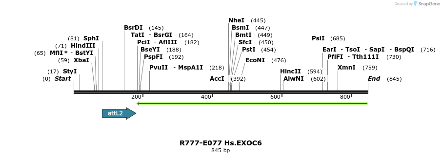 129411_map