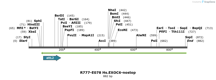 129412_map