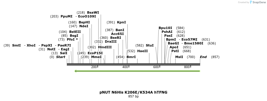 129413_map
