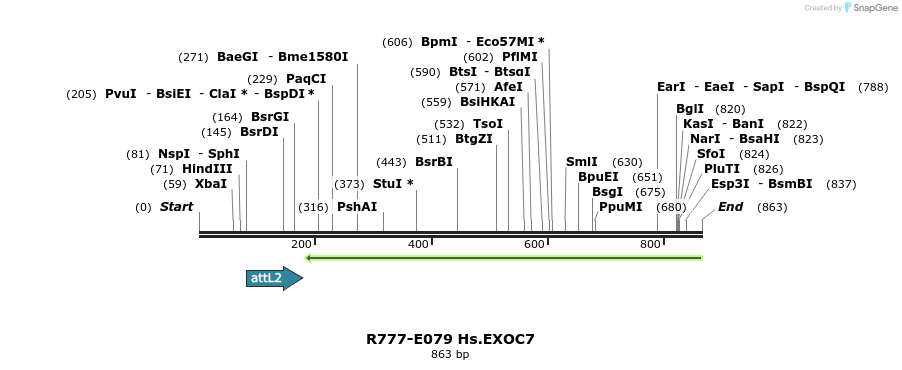 129417_map