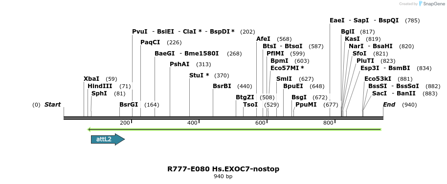 129419_map