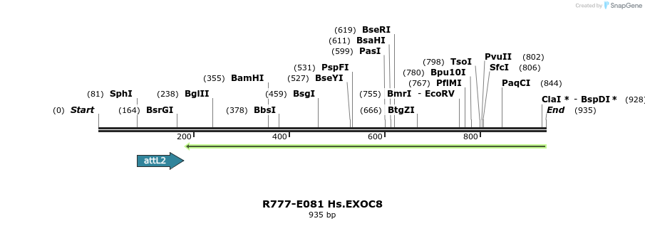 129422_map
