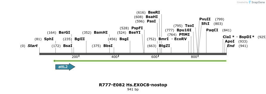 129423_map